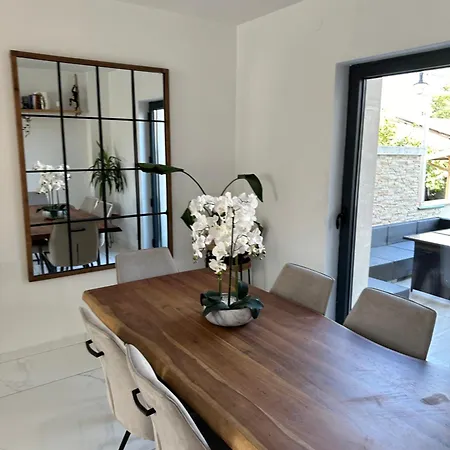 Lyon 8e, 8 Personnes Piscine Jardin, Parking Prive, Terrain De Petanque *