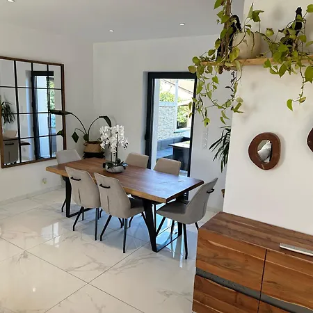 فيلة Lyon 8e, 8 Personnes Piscine Jardin, Parking Prive, Terrain De Petanque